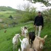 Un nouvel arrivant à la ferme : Clément