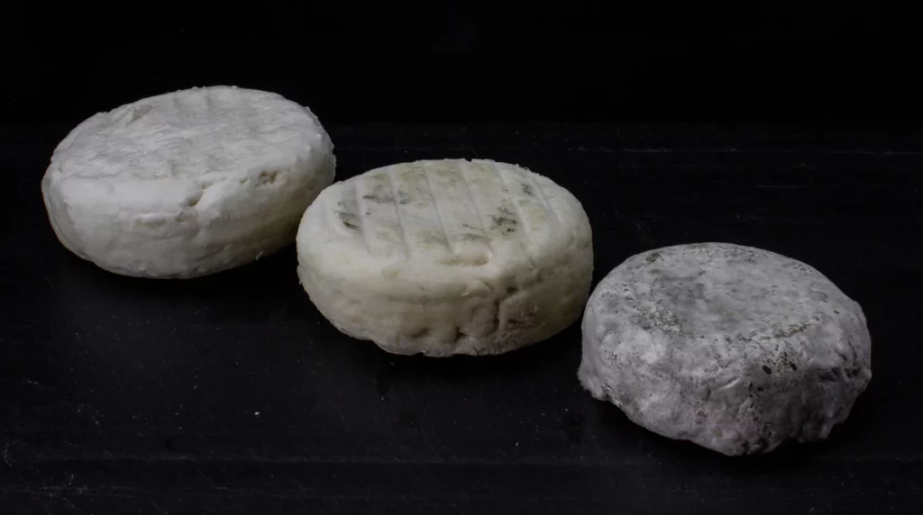 Gros fromage de chèvre