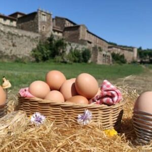 Oeufs de la ferme du moulin des chartreux